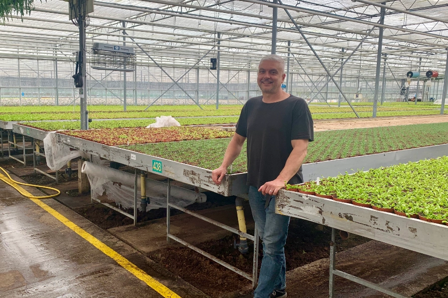 Werkbegeleider tuinderij Andreas in de kassen